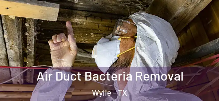  Air Duct Bacteria Removal Wylie - TX