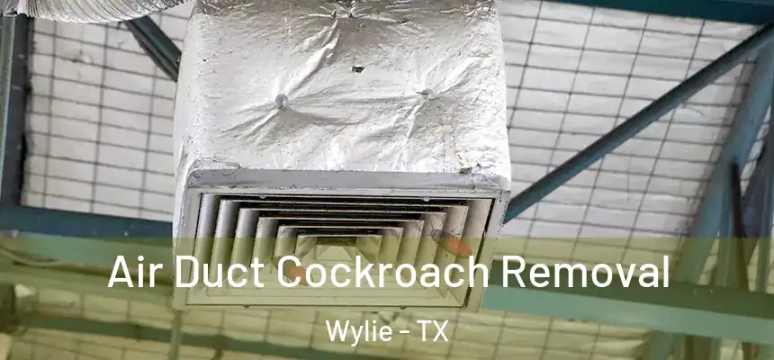  Air Duct Cockroach Removal Wylie - TX