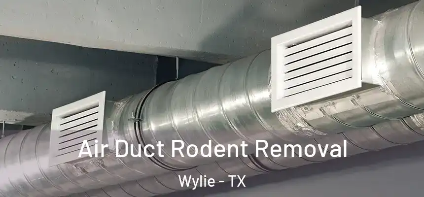  Air Duct Rodent Removal Wylie - TX