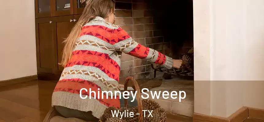  Chimney Sweep Wylie - TX