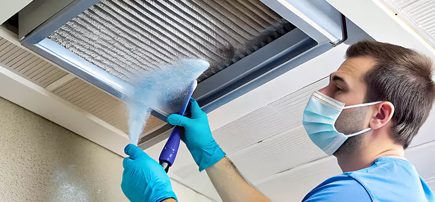 Proactive Dryer Vent & Auxiliary Duct Pollen Cleanup in Wylie, TX
