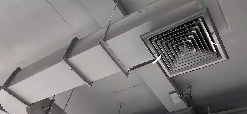 Restorative Allergy Relief Vent Cleaning – Coil, Blower & Housing Detail in Wylie