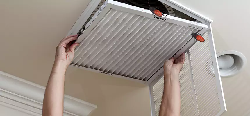 Our Insect Removal from Air Ducts Services in Wylie, TX