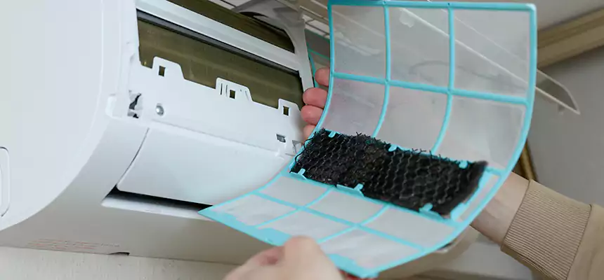 Gentle Ductwork Odor-Control Pet Dander Duct Cleaning in Wylie, TX