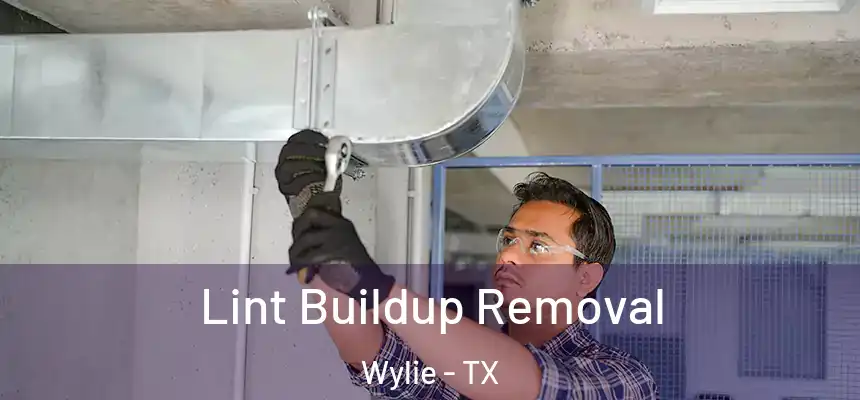  Lint Buildup Removal Wylie - TX