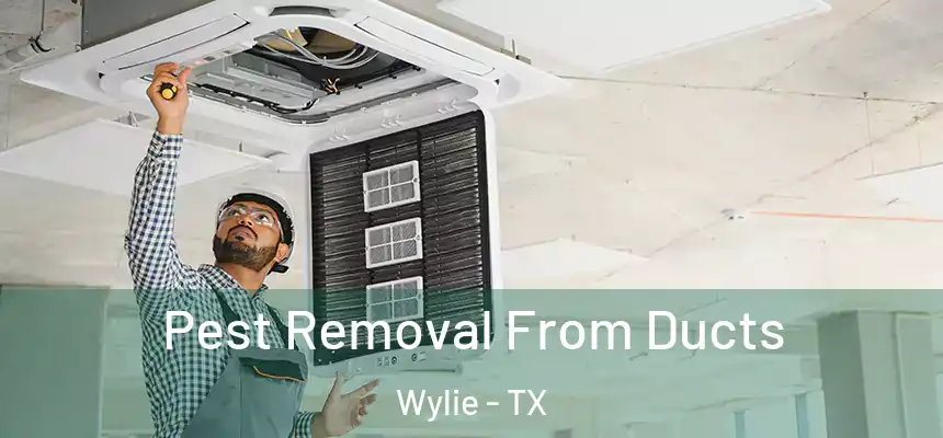  Pest Removal From Ducts Wylie - TX