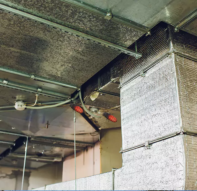 Why Homeowners & Businesses Trust Us in Wylie, TX?