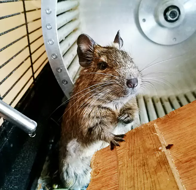 Why Homeowners & Businesses Trust Us Wylie, TX