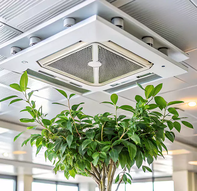 Why Homeowners & Businesses Trust Us in Wylie, TX