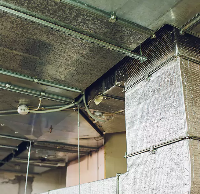 Why Homeowners & Businesses Trust Us in Wylie, TX?